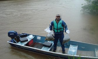 Associação realiza com sucesso repovoamento de alevinos em rios da região oeste