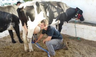 Delicada, vaca leiteira, ganha prêmio como Grande Campeã do  Torneio Leiteiro da 17ª. Expossol