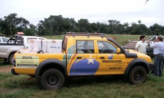 DEFESA SANITÁRIA: Vigilância é constante no rebanho de Mato Grosso