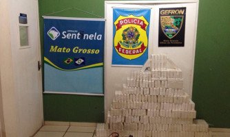 Gefron e Polícia Federal apreende cerca de 257 kg de cocaína na fronteira