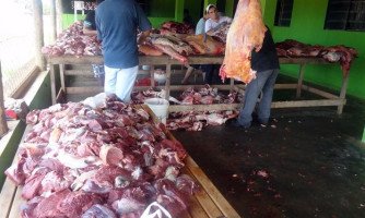 Quatro Marcos é destaque regional com Programa de Aquisição de Alimentos