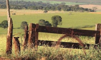 Aumento de roubos e furtos na zona rural de Mato Grosso é preocupante