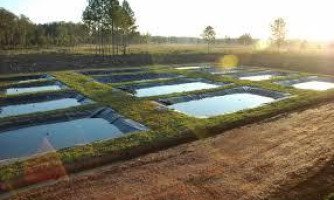 ORÇAMENTO 2016: Piscicultura e irrigação terão 40% dos recursos do FCO Rural