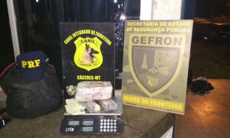 Gefron, Canilfron  e PRF apreendem drogas em abordagem a ônibus