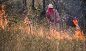 MT lança plano de combate às queimadas nesta terça-feira