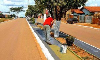 Canteiros da Avenida São Paulo em Quatro Marcos são revitalizados