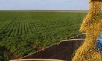 Propriedades rurais de 13 municípios serão fiscalizadas de 19 a 23 de março