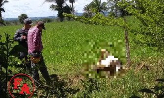 QUATRO MARCOS: Trabalhador rural morre durante lida com gado