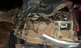 MT 175: Caminhonete fica destruída ao colidir e matar égua em rodovia