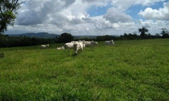 OPERAÇÃO RED MONEY: fazenda em Salto do Céu está entre os bens  que houve sequestro pela justiça