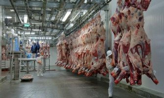 Missão chinesa vistoria frigorífico em Mato Grosso