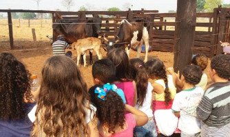 Passeio pedagógico incentiva o turismo nas propriedades rurais de Mirassol