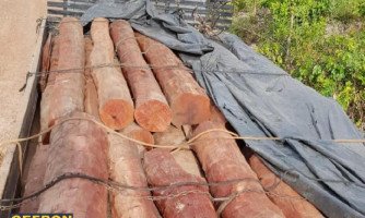 Policiais do Gefron apreendem 30 toras de aroeira e recuperam quatro veículos