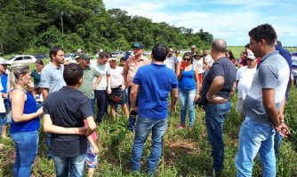 Crédito fundiário é retomado em MT