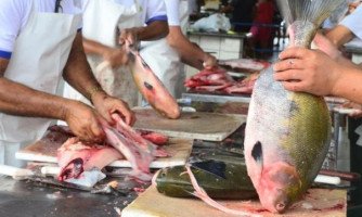 Governo de MT  libera GTA eletrônica para caprinos, ovinos e peixes