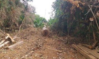 Polícia identifica desmatamento em área de preservação permanente em Salto do Céu