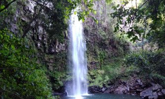 Áreas degradadas em Reserva do Cabaçal são visitadas pela Sema e Comitê