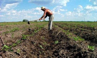 Câmara aprova MP que libera R$ 1,2 bilhão para agricultores