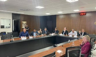Governo de Mato Grosso aprova medidas de incentivo à suinocultura