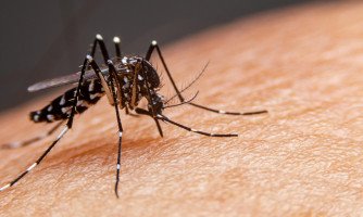 Mirassol D'oeste e mais 95 cidades estão com risco alto de Dengue
