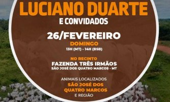 Em São José dos Quatro Marcos, Leilão de gado irá ofertar 3.500  animais;  2° Leilão de Gado Luciano Duarte, será transmitido ao vivo para todo o Brasil pelo Canal Do Boi, a partir das 13hs