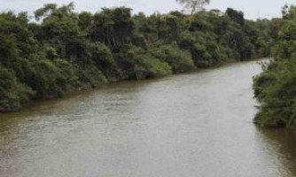 Rio Cabaçal está ameaçado pela construção de seis Hidrelétricas, o que impacta a reprodução de peixes migratórios