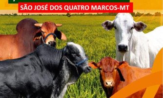 Prefeitura Municipal inicia projeto de Inseminação Artificial para Bovinocultura de Leite e Corte na Agricultura Familiar om a CONAFER