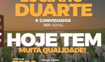 Acompanhe ao vivo agora:  Leilão Virtual e Presencial Luciano Duarte e Convidados: Oferta de Mais de 3000 Animais para Cria, Recria e Engorda na Fazenda Três Irmãos, em  Quatro Marcos