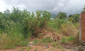 Prefeitura de São José dos Quatro Marcos Notifica Proprietários de Terrenos Sujos