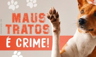 Justiça para os animais: Quatro Marcos dá basta nos maus-tratos com multas de até R$ 5 mil por animal