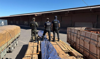 Operação Timber Shield: Perícia não identifica cocaína em carga de madeira e defesa questiona prejuízos após apreensão