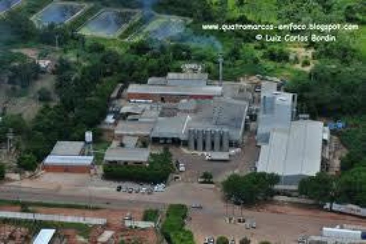 Laticínio Vencedor de Quatro Marcos é o primeiro a aderir ao Leite Legal
