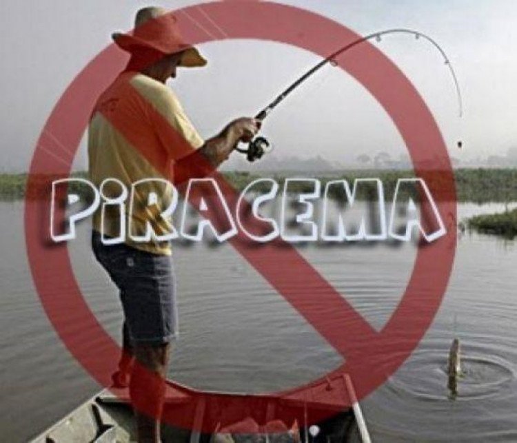PIRACEMA: Pesca está proibida a partir desta quarta-feira