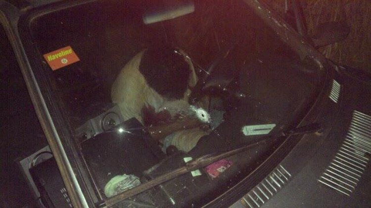 Líder de quadrilha de roubo de gado morto em confronto com a polícia apareceu em 2006 como procurado no programa 