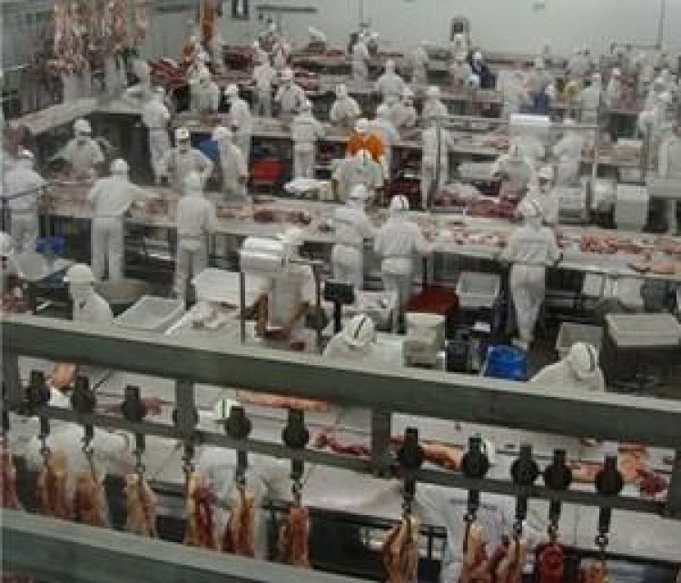 Fechamento de frigoríficos gera preocupação em MT