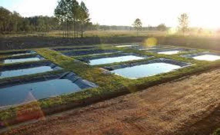 ORÇAMENTO 2016: Piscicultura e irrigação terão 40% dos recursos do FCO Rural