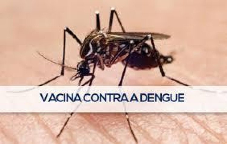 Vacina contra dengue é aprovada pela Anvisa e deve ser vendida em 3 meses