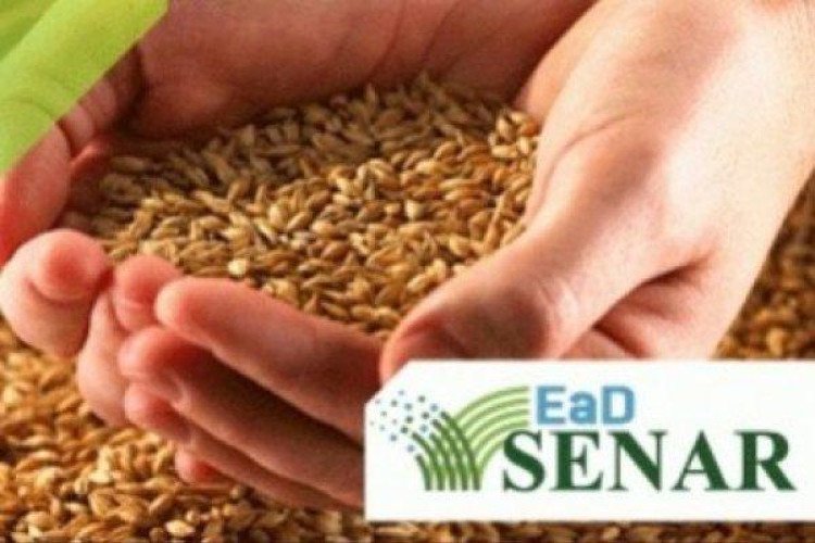 Senar-MT abre inscrições para cursos gratuitos á distancia