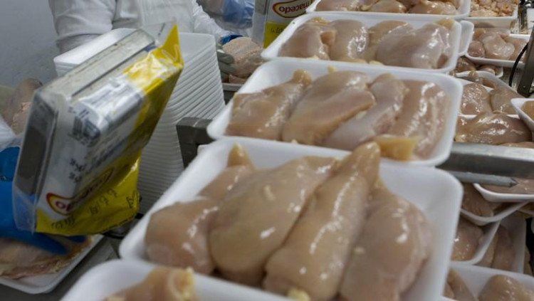 INFLAÇÃO: Preço do frango dispara em Mato Grosso