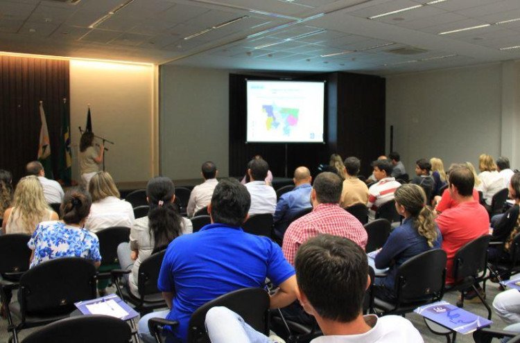 Rebanho suíno cresce 37,5% em Mato Grosso