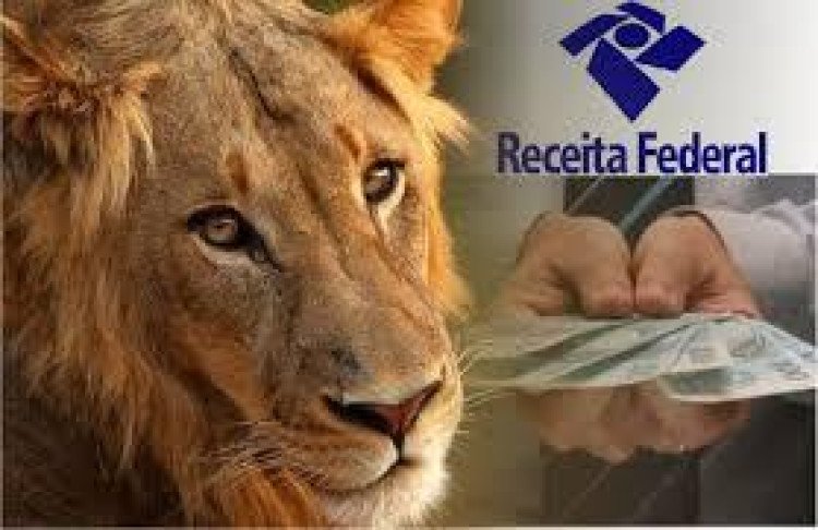 Declaração do Imposto de Renda termina nesta sexta-feira (29)