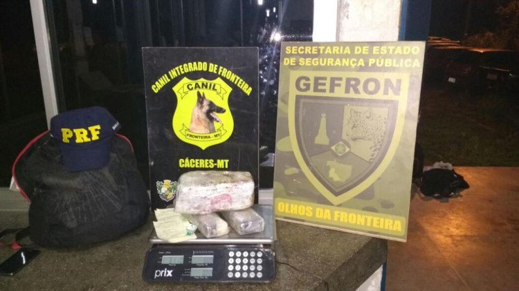 Gefron, Canilfron  e PRF apreendem drogas em abordagem a ônibus