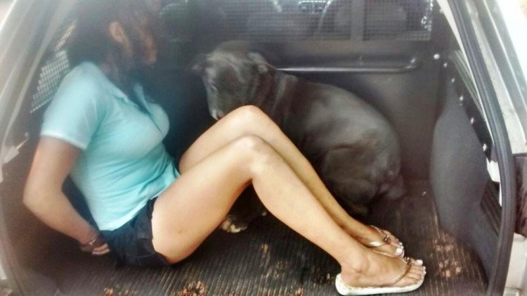 Cadela oferece ‘resistência’ à prisão de mulher traficante