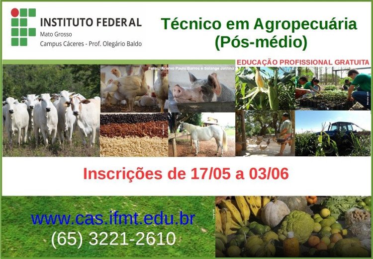 IFMT Cáceres lança edital com vagas para Curso Técnico em Agropecuária