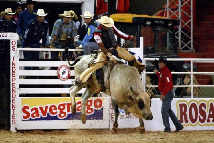 19ª EXPOMARCOS: Começa hoje (02), rodeio em touros e cavalos  em Quatro Marcos