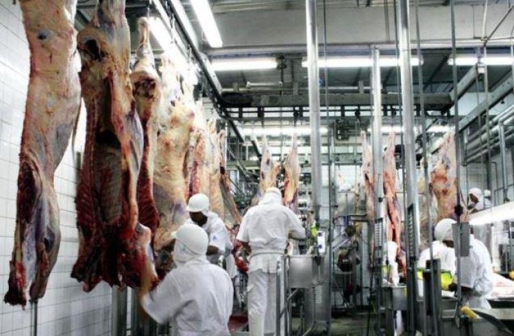 Frigoríficos demitem e já concedem férias coletivas
