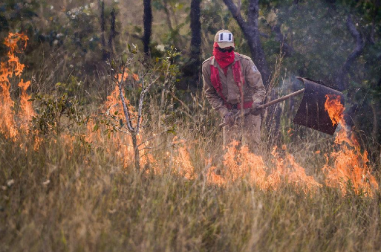 MT lança plano de combate às queimadas nesta terça-feira
