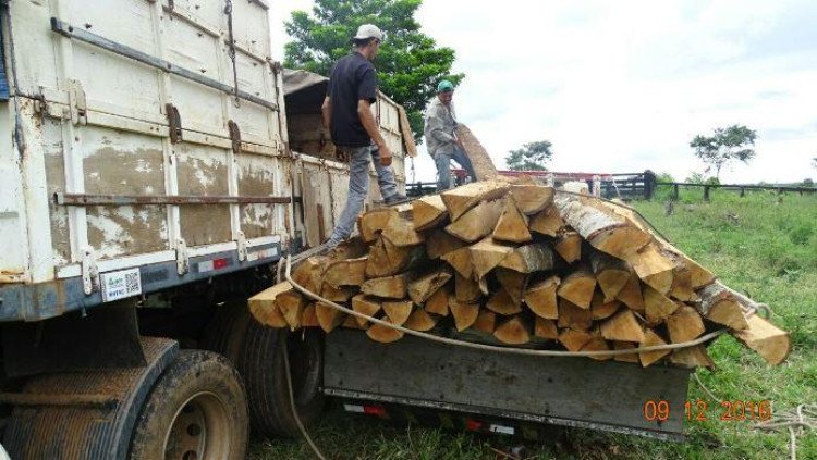 Crimes ambientais são flagrados pela Polícia Civil de Jauru