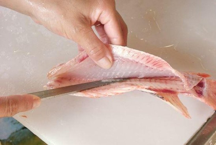 UFMT abre 50 vagas para especialização em Piscicultura e Processamento de Pescado
