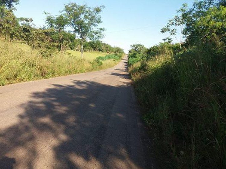 MT 175, 339, 248: Vereador propõe união entre parlamentares para discutir situação das rodovias da região Oeste de MT